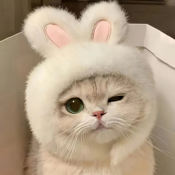 Bunny Ears Cat Hat – Adorable Pet Costume Headwear 🐰🐾