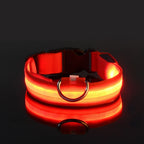 🌙 LED Dog Collar – Night Safety Flashing Glow Collar for Dogs