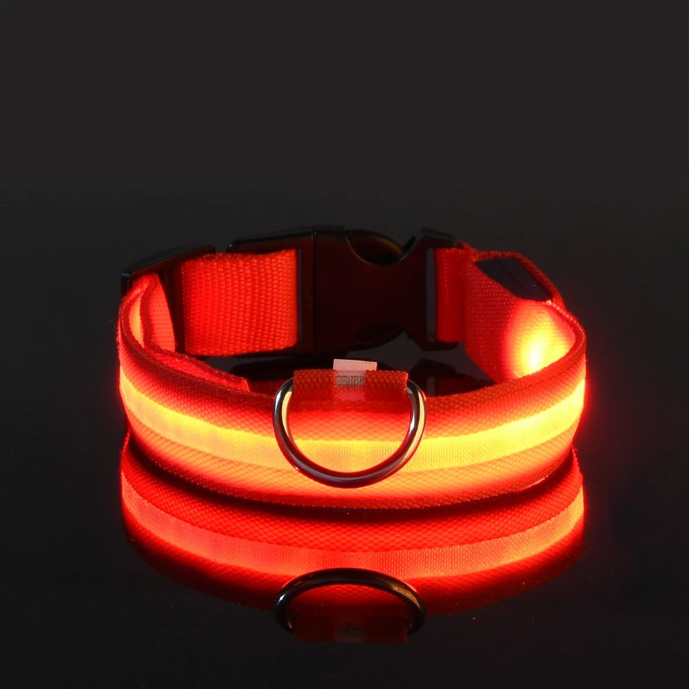 🌙 LED Dog Collar – Night Safety Flashing Glow Collar for Dogs