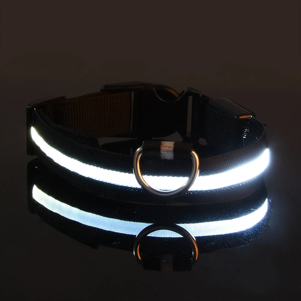🌙 LED Dog Collar – Night Safety Flashing Glow Collar for Dogs