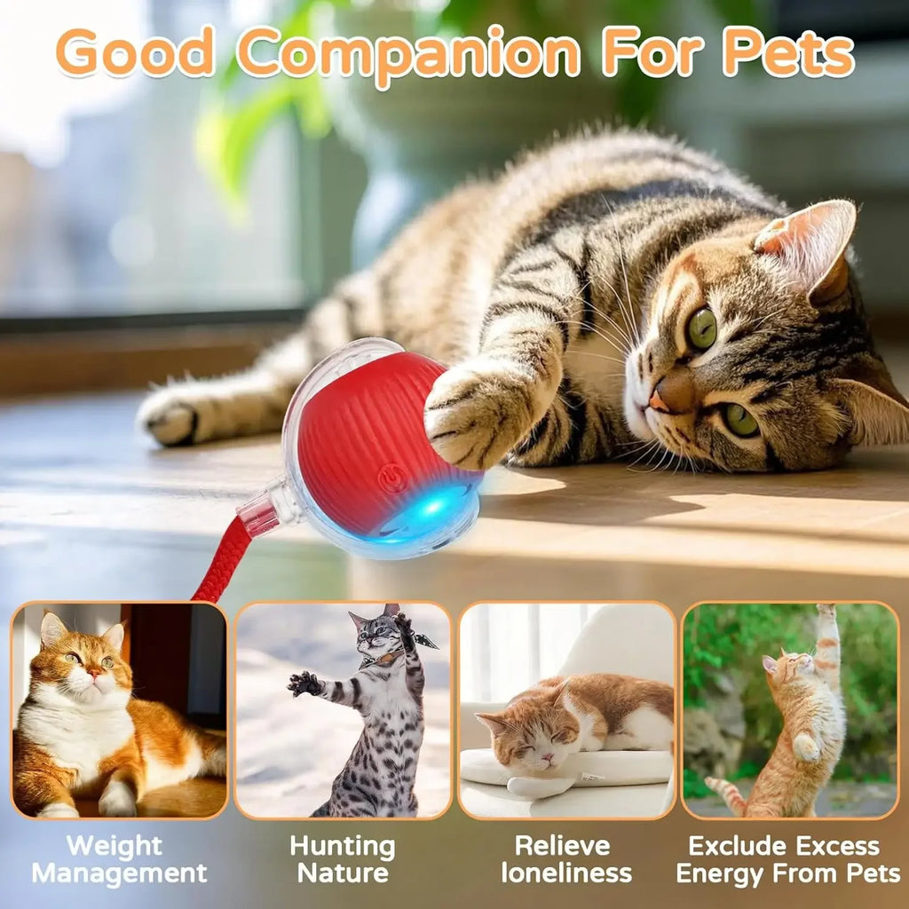 Smart Pet Interactive Rolling Ball Toy – Dog & Cat Electric Training Fun ⚡🐾