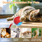 Smart Pet Interactive Rolling Ball Toy – Dog & Cat Electric Training Fun ⚡🐾