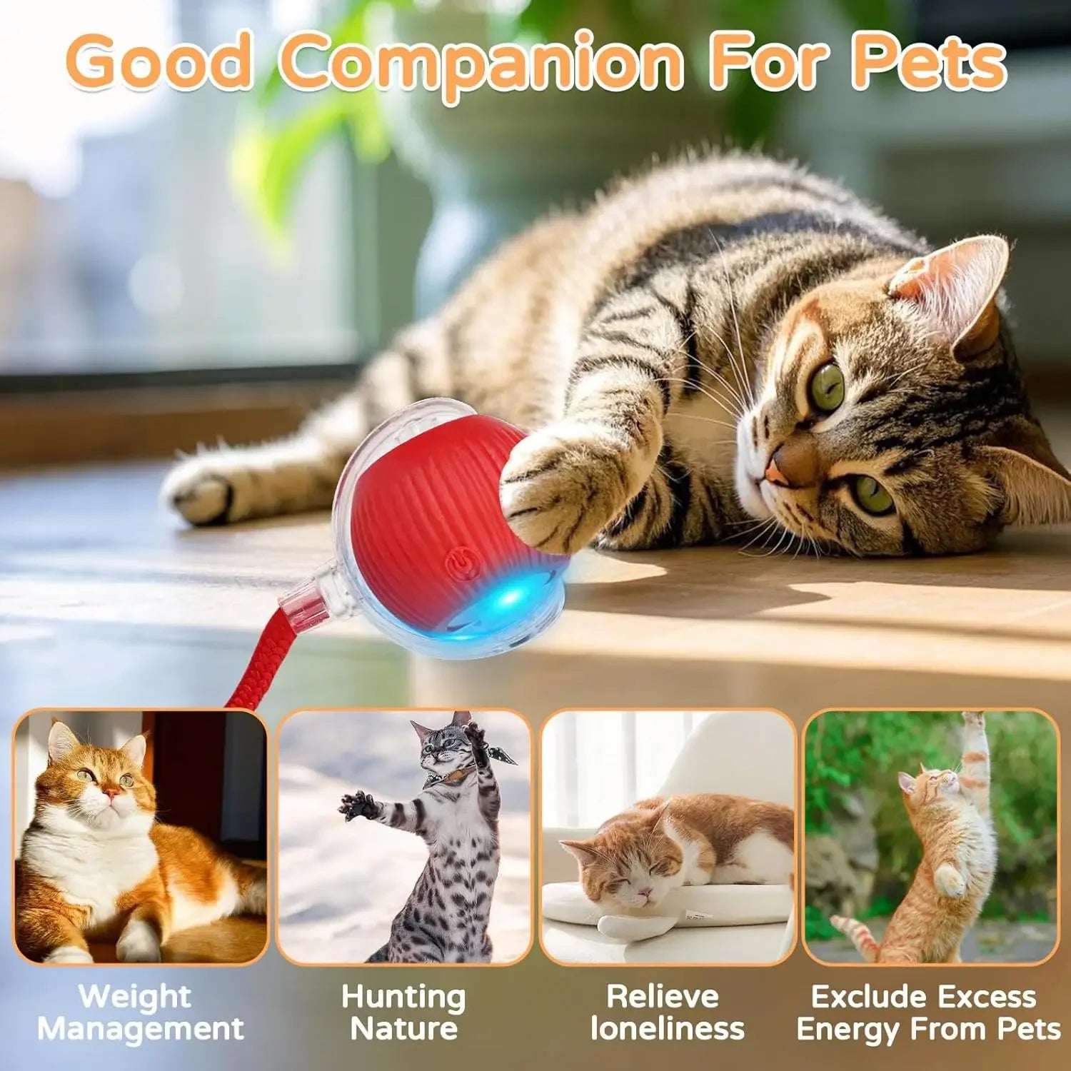 Smart Pet Interactive Rolling Ball Toy – Dog & Cat Electric Training Fun ⚡🐾