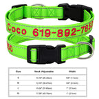 🐶 Adjustable Nylon Embroidered Dog Collar – Custom Name ID Tag