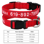 🐶 Adjustable Nylon Embroidered Dog Collar – Custom Name ID Tag