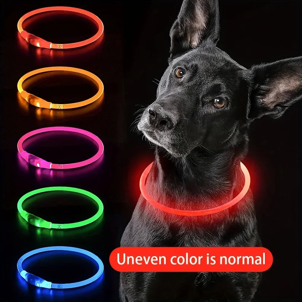 🐶 LED Light Dog Collar – USB Rechargeable, Luminous & Anti-Lost