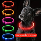 🐶 LED Light Dog Collar – USB Rechargeable, Luminous & Anti-Lost