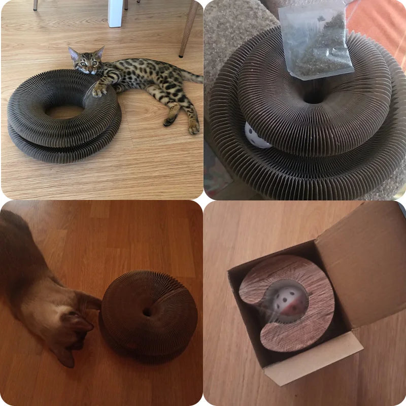 Magic Organ Cat Toy – Interactive Corrugated Scratching Post for Cats 🐾