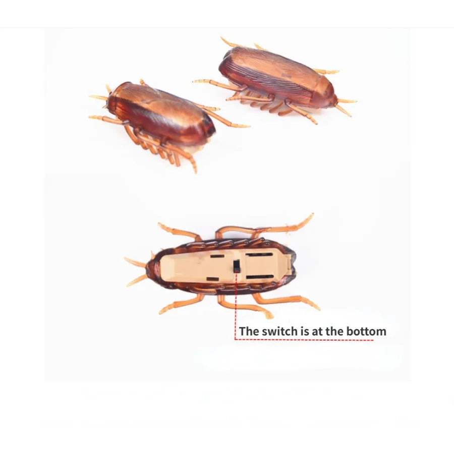 Funny Simulation Cockroach Pet Toy for Cats & Dogs 🐾