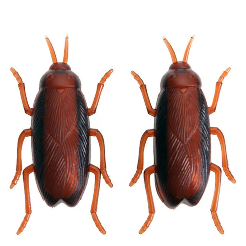 Funny Simulation Cockroach Pet Toy for Cats & Dogs 🐾