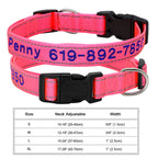 🐶 Adjustable Nylon Embroidered Dog Collar – Custom Name ID Tag