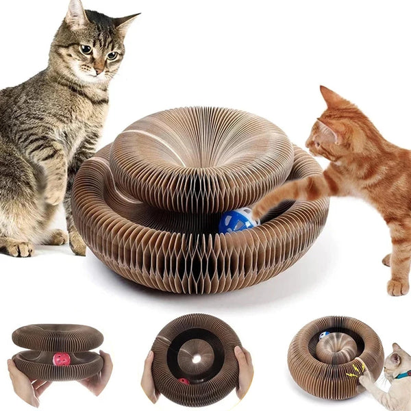 Magic Organ Cat Toy – Interactive Corrugated Scratching Post for Cats 🐾