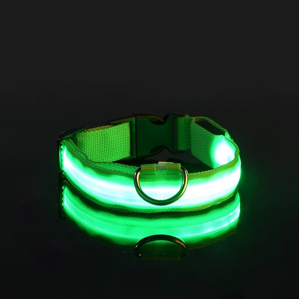🌙 LED Dog Collar – Night Safety Flashing Glow Collar for Dogs