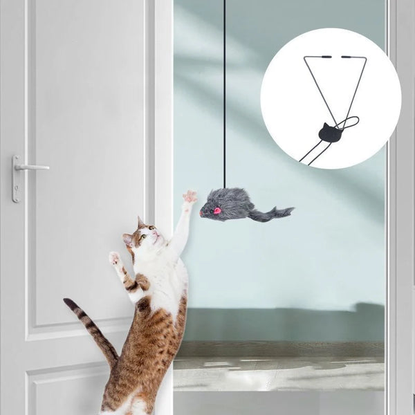 Door Hanging Cat Toy – Interactive Stress-Relief for Your Kitten