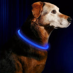 🐶 LED Light Dog Collar – USB Rechargeable, Luminous & Anti-Lost