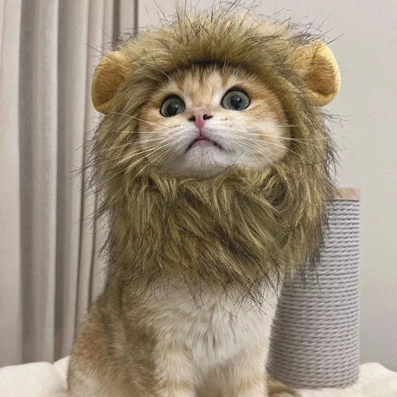 Lion Mane Pet Wig – Turn Your Cat or Dog into the King of the Jungle! 🦁