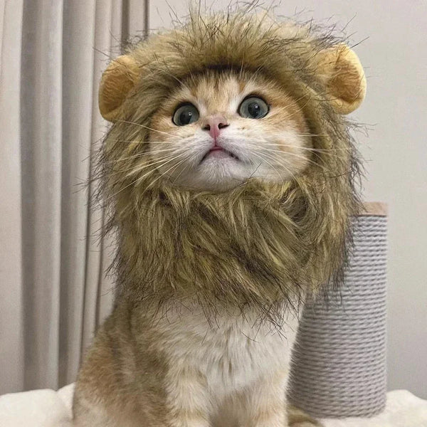 Lion Mane Pet Wig – Turn Your Cat or Dog into the King of the Jungle! 🦁