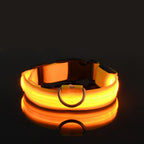 🌙 LED Dog Collar – Night Safety Flashing Glow Collar for Dogs