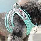 🐶 Puppy & Cat Harness Set – Adjustable Harness Vest with Leash for Small Dogs