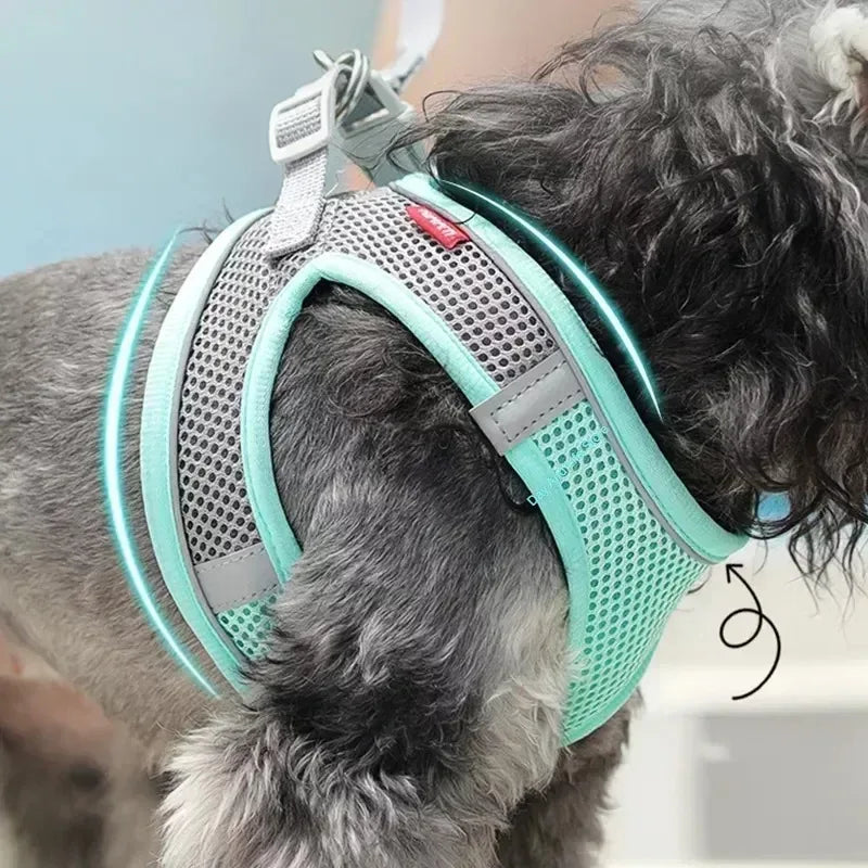 🐶 Puppy & Cat Harness Set – Adjustable Harness Vest with Leash for Small Dogs