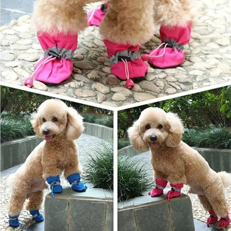 🐾 4pcs Waterproof Pet Dog Shoes – Anti-Slip Rain & Snow Booties