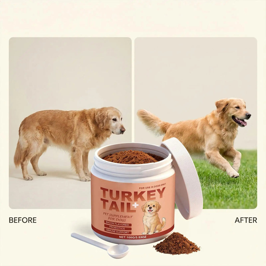 🐶 Dog Supplements for Skin & Coat – 100g Powder for Healthy, Shiny Fur