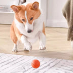 Intelligent Jumping Dog Ball – Automatic Interactive Chew Toy 🐾