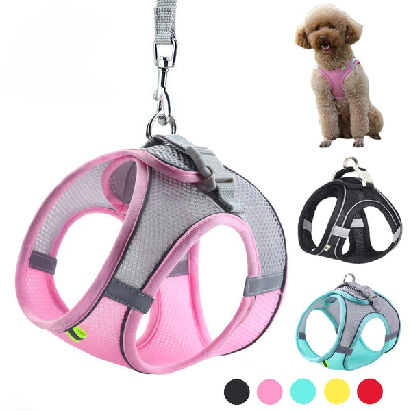 🐶 Puppy & Cat Harness Set – Adjustable Harness Vest with Leash for Small Dogs