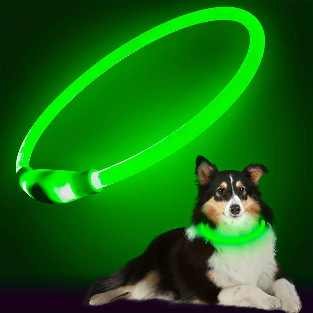 🐶 LED Light Dog Collar – USB Rechargeable, Luminous & Anti-Lost