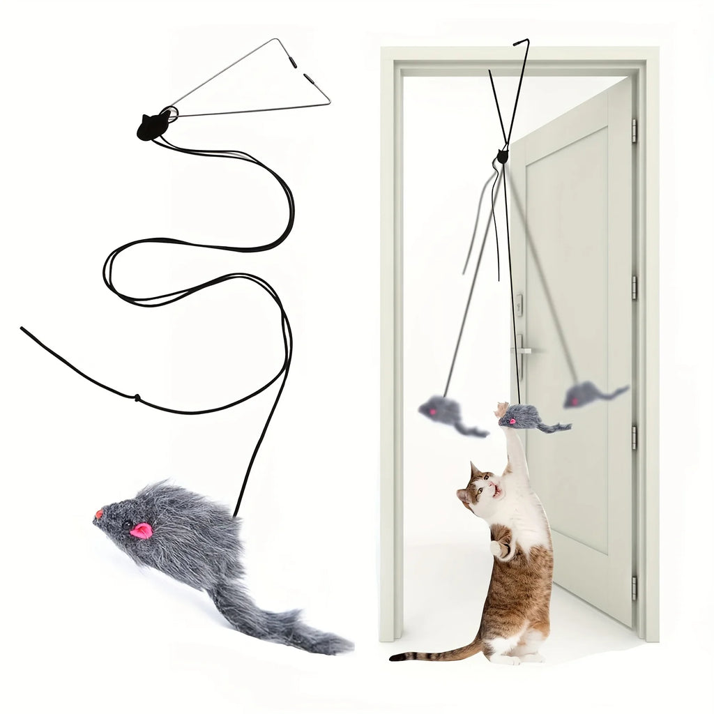 🐱 Door Hanging Cat Toy – Stress Relief & Interactive Play for Kittens