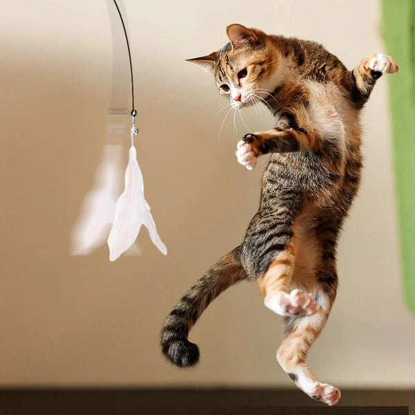 🐱 Cat Teaser Toy – Interactive Bell & Feather Wand with Suction Cup Pole