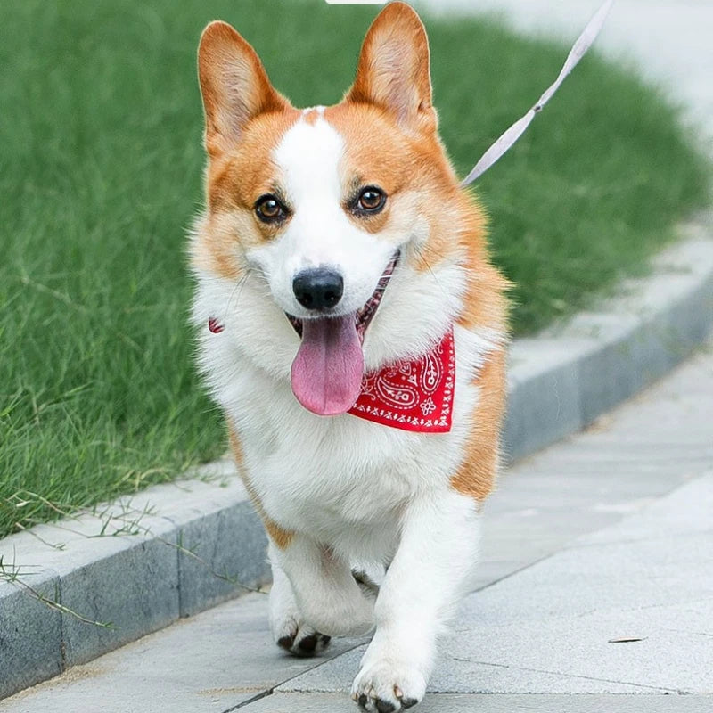 Adjustable Pet Bandana Collar – Stylish Triangle Neckerchief for Dogs & Cats 🐾