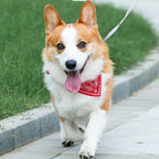 Adjustable Pet Bandana Collar – Stylish Triangle Neckerchief for Dogs & Cats 🐾