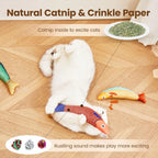 Fish-Shaped Catnip Toy – Interactive Chew & Play for Cats 🐟