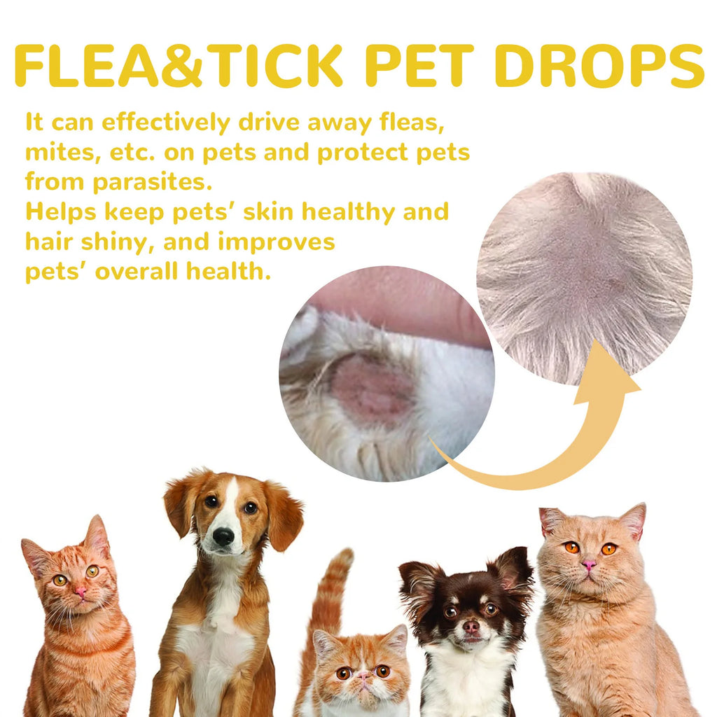 Cat Anti-Flea Drops – Fast Relief from Fleas, Ticks & Itching 🐱