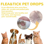 Cat Anti-Flea Drops – Fast Relief from Fleas, Ticks & Itching 🐱