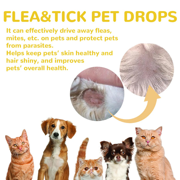 Cat Anti-Flea Drops – Fast Relief from Fleas, Ticks & Itching 🐱
