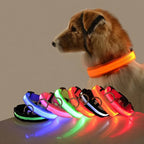 🌙 LED Dog Collar – Night Safety Flashing Glow Collar for Dogs