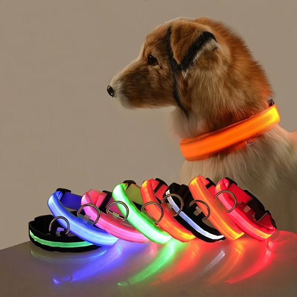 🌙 LED Dog Collar – Night Safety Flashing Glow Collar for Dogs