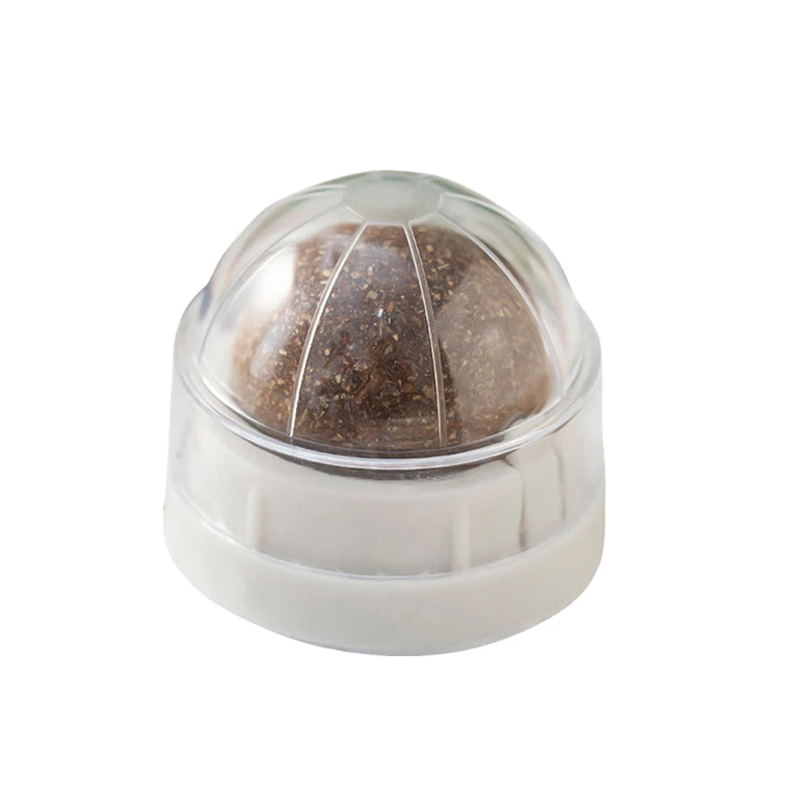 Spinning Catnip Mint Ball for Cats 🐱🌿