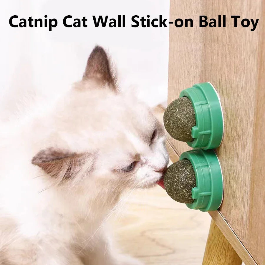 Spinning Catnip Mint Ball for Cats 🐱🌿