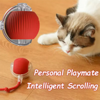 🐾 Intelligent Interactive Cat & Dog Ball – Durable & Fun Pet Toy