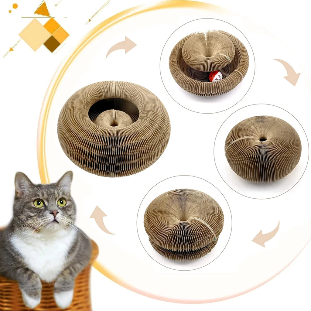 Magic Organ Cat Toy – Interactive Corrugated Scratching Post for Cats 🐾