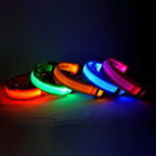 🌙 LED Dog Collar – Night Safety Flashing Glow Collar for Dogs