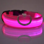 🌙 LED Dog Collar – Night Safety Flashing Glow Collar for Dogs