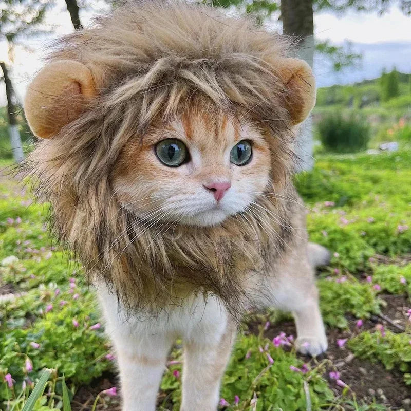 Lion Mane Pet Wig – Turn Your Cat or Dog into the King of the Jungle! 🦁