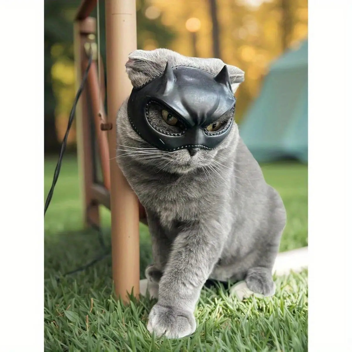 Cat Bat Mask – Whimsical Feline Costume Accessory 🐾🦇