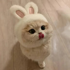 Bunny Ears Cat Hat – Adorable Pet Costume Headwear 🐰🐾