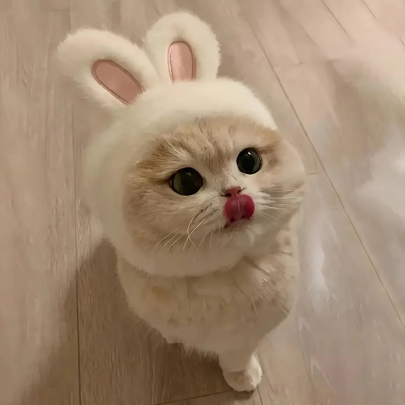 Bunny Ears Cat Hat – Adorable Pet Costume Headwear 🐰🐾