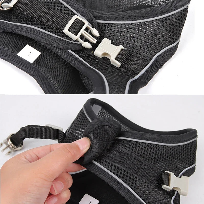 🐶 Puppy & Cat Harness Set – Adjustable Harness Vest with Leash for Small Dogs